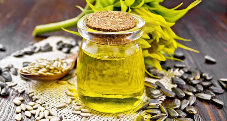 Goldene Tropfen für die Küche – wie Speiseöle Geschmack und Gesundheit verbinden